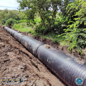 KPMI NIA-Paculago Project 4